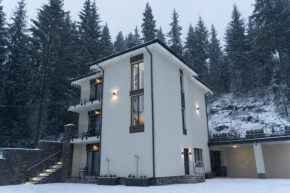 Budz Карпати Bukovel